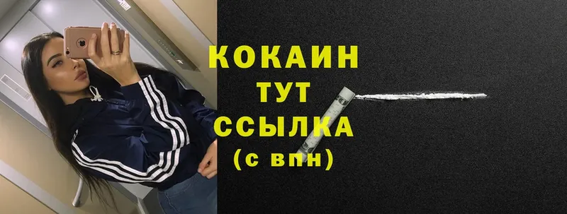 площадка наркотические препараты  Великий Устюг  Cocaine FishScale  где купить наркоту 