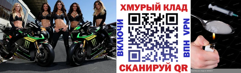 ГЕРОИН хмурый  Великий Устюг 