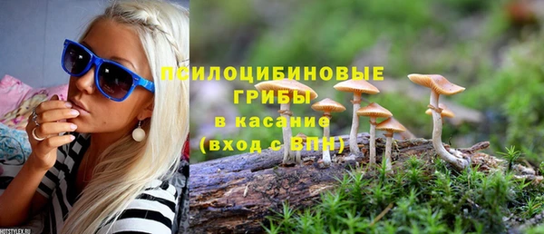 МДПВ Сатка