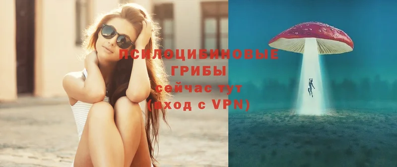 Галлюциногенные грибы MAGIC MUSHROOMS  Великий Устюг 