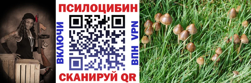 хочу   Великий Устюг  Псилоцибиновые грибы мухоморы 