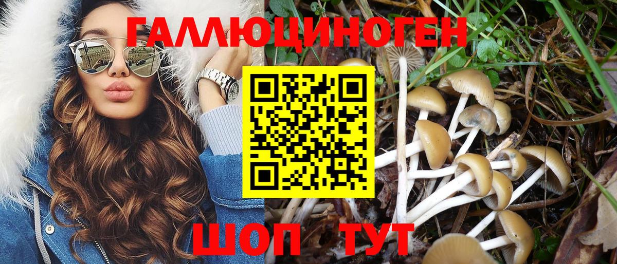 Псилоцибиновые грибы мицелий  Великий Устюг 