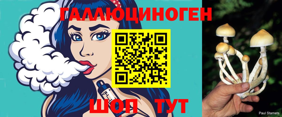 Псилоцибиновые грибы мицелий Великий Устюг