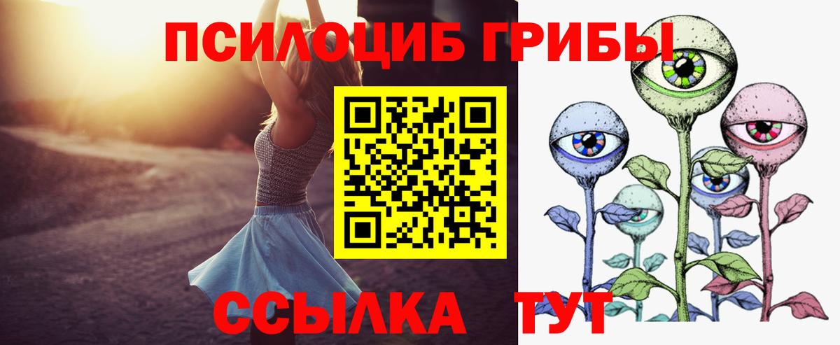Великий Устюг  Псилоцибиновые грибы MAGIC MUSHROOMS  Вход с VPN 