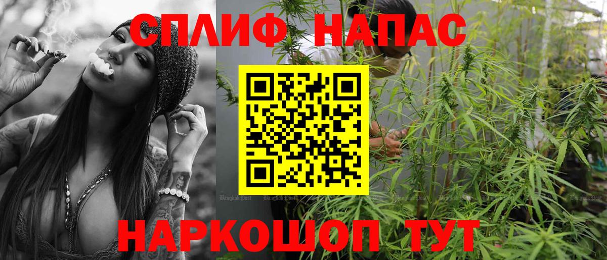 APVP Великий Устюг